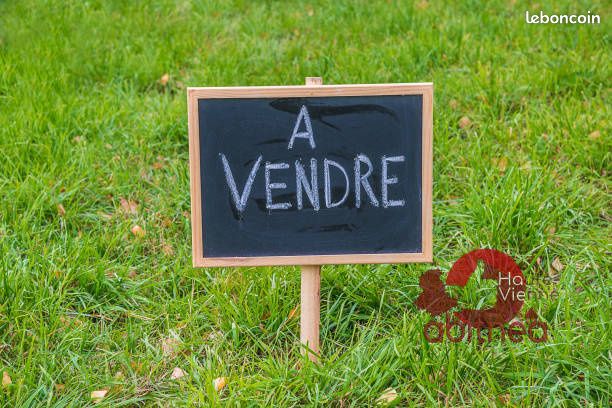 Terrain 22814 m² St maurice les brousse