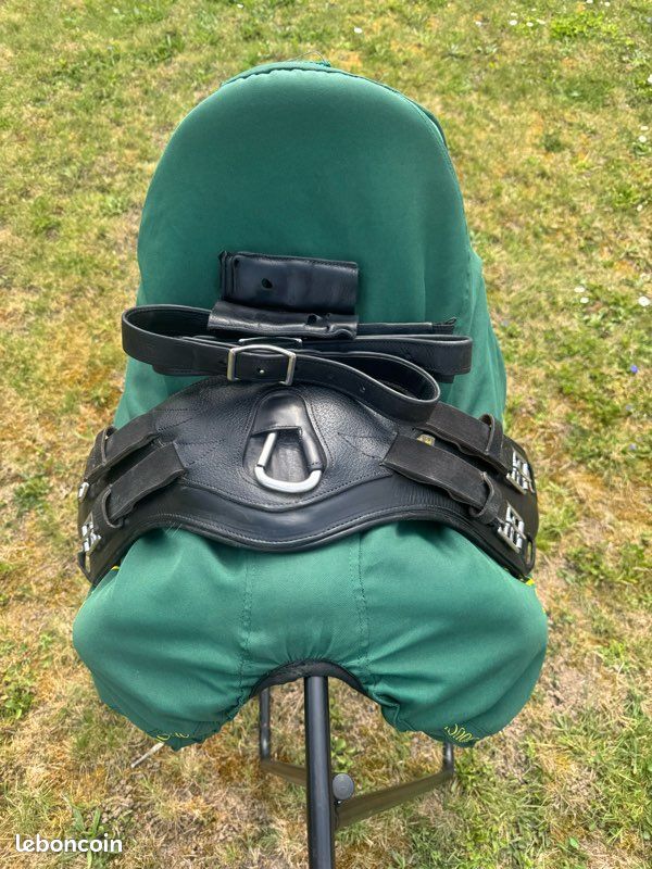 Selle dressage devoucoux Malika Lab (image 18)