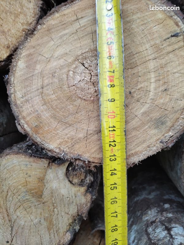 Piquets ronds châtaigniers 1m80 (image 3)