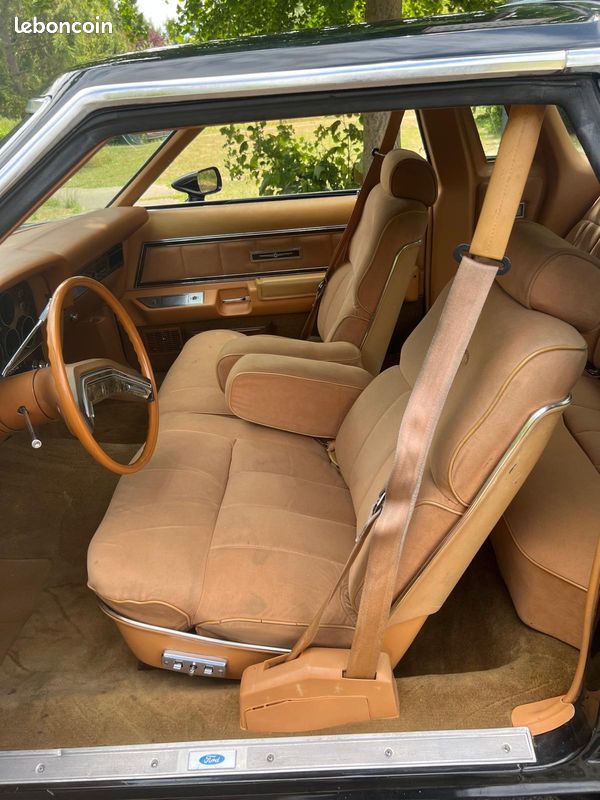Ford Thunderbird v8 (image 6)