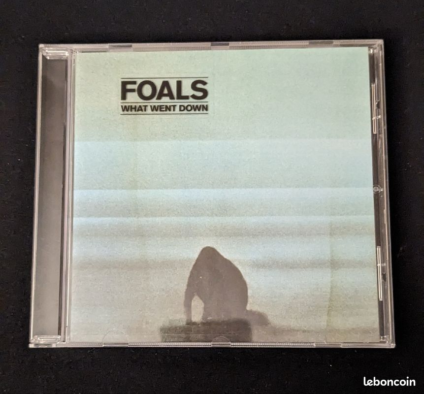 What went down - Foals CD (image 1)