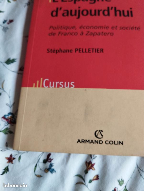L'Espagne d'aujourd'hui (image 2)