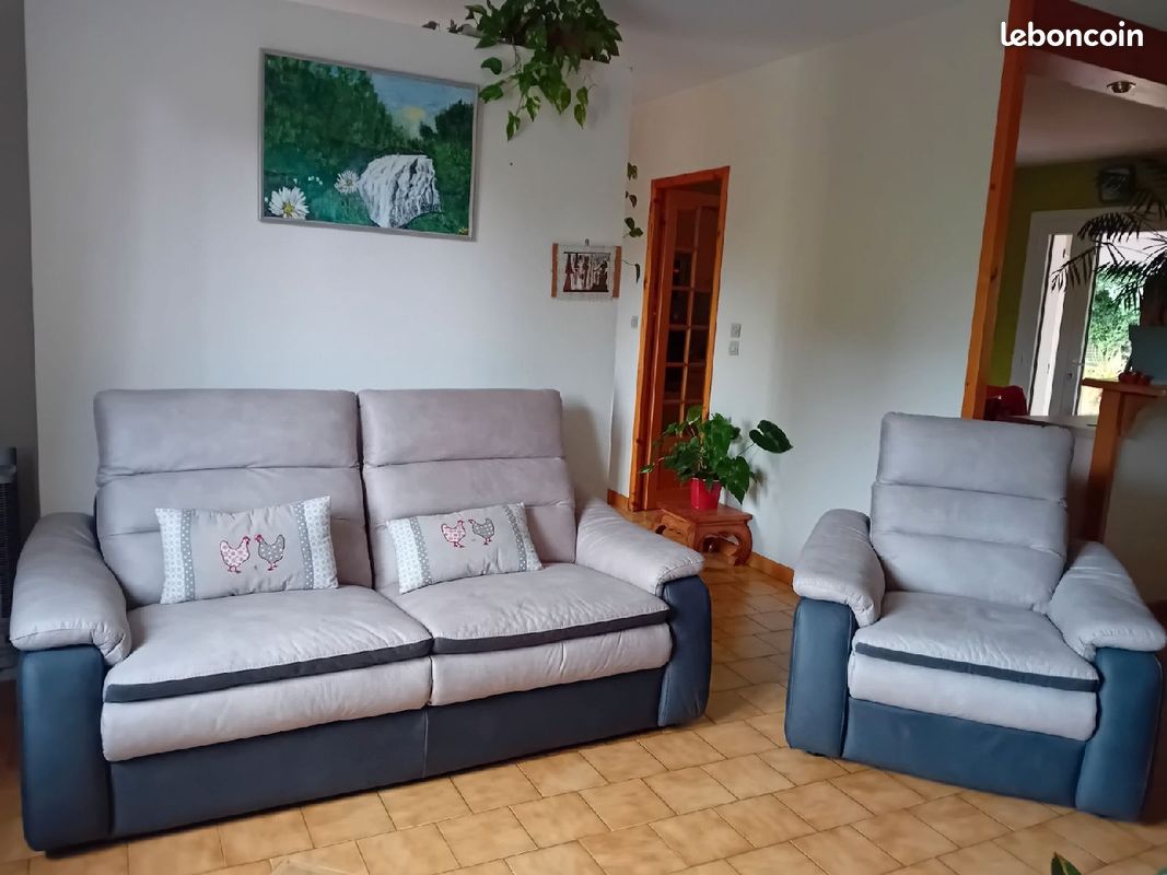 Canapé à vendre (image 1)