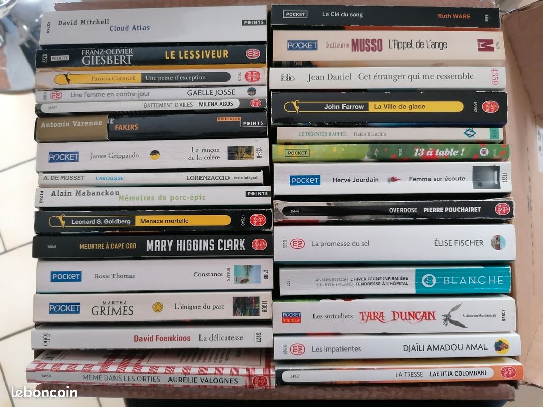 Livres polar (image 2)