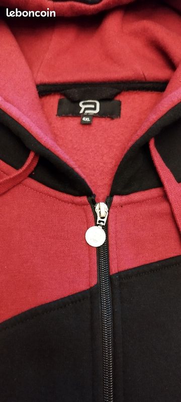 Sweat à capuche grande taille (image 2)