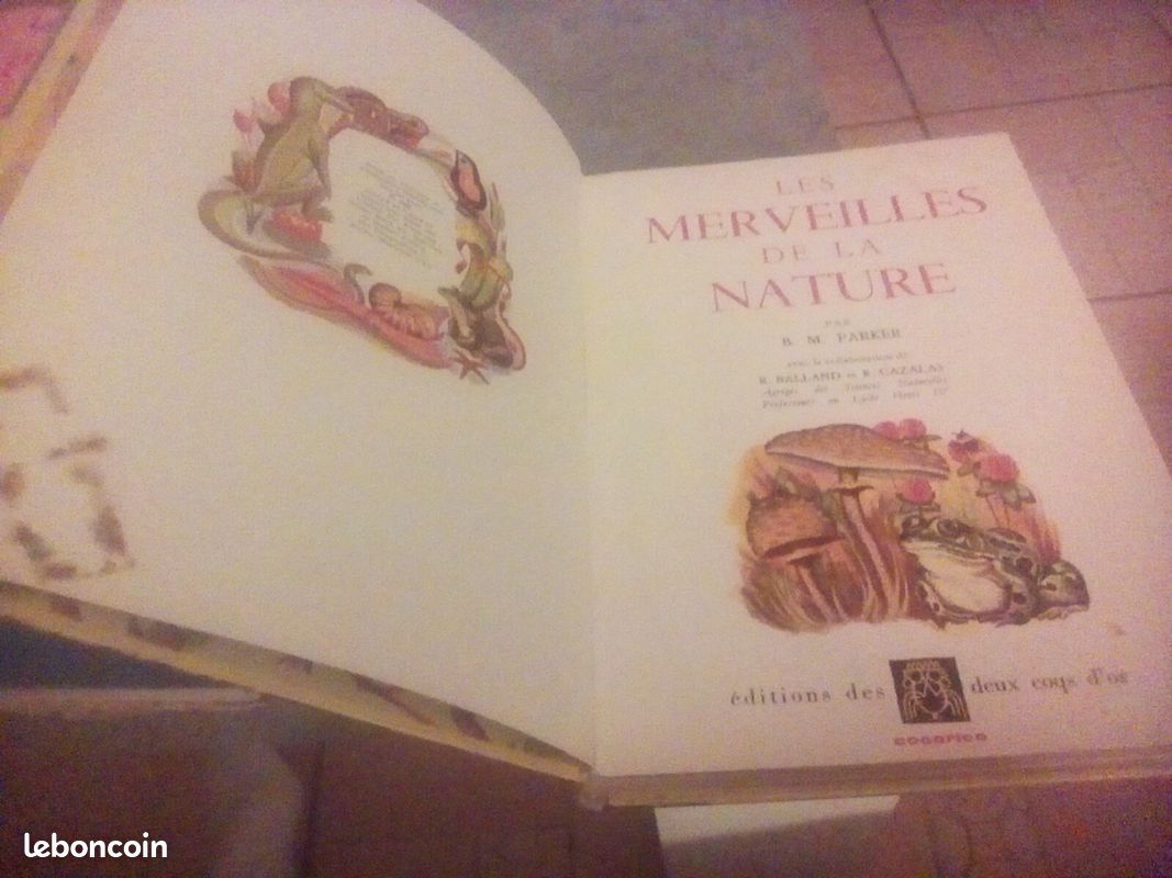 Les merveilles de la nature (image 2)