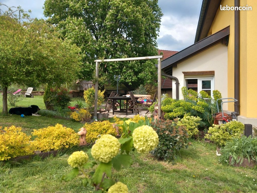 Maison 7 pièces 160 m² · à Rothbach · 160 m² · 350 000 €