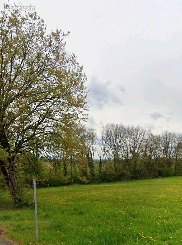 Terrain à Phaffans · 99 000 €