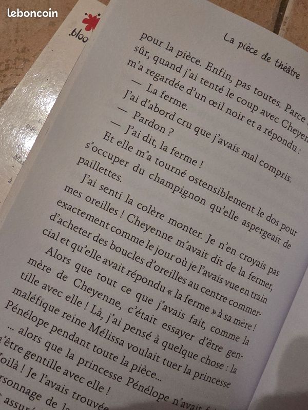Le Carnet d'Allie tomes 4 et 6 (image 3)