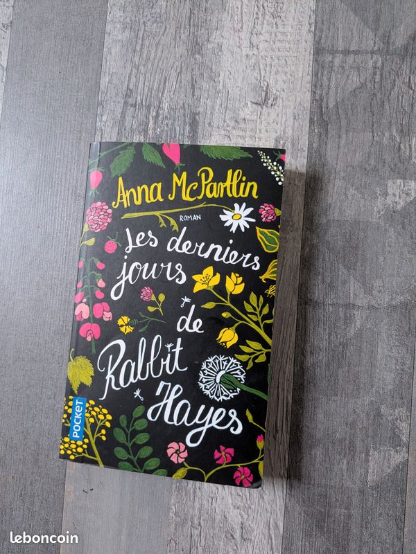 Anna Mc Partlin les derniers jours de Rabbit Hayes (image 1)