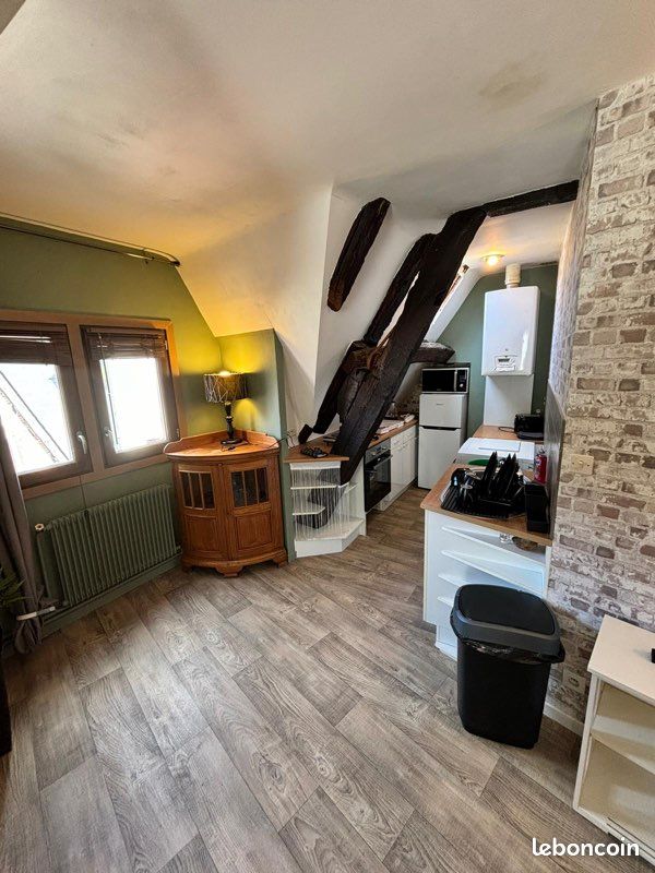 Appartement 1 pièce 31 m² · à Chinon · 31 m² · 530 €