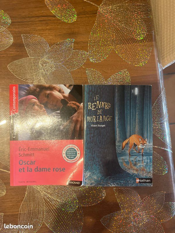 Lot de livre - Roman - BD - Théâtre (image 3)