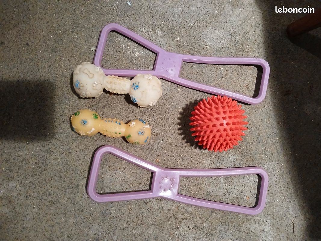 Jouets pour chiens (image 1)