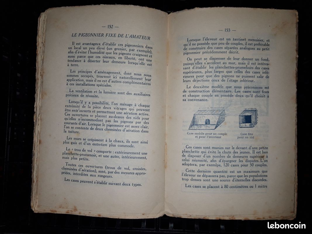 Mes petits elevages lucratifs - poterlet (image 8)