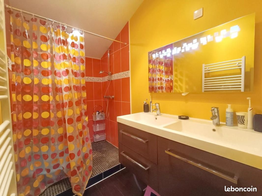 Longère 8 pièces 325 m² - Champigny en Rochereau 86170 (image principale 16)