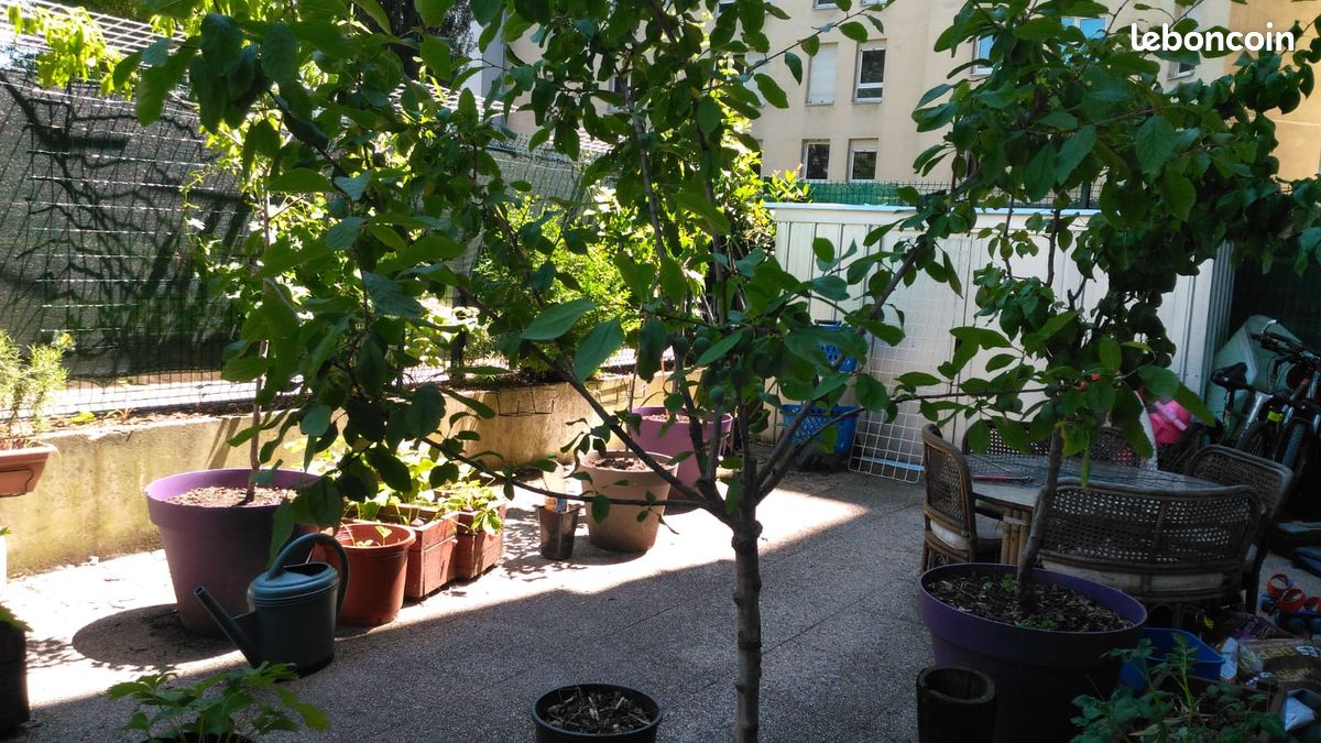 Chambre de 12 m2 All Inclusif - Debourg MB T1 T6 T10 (image 1)