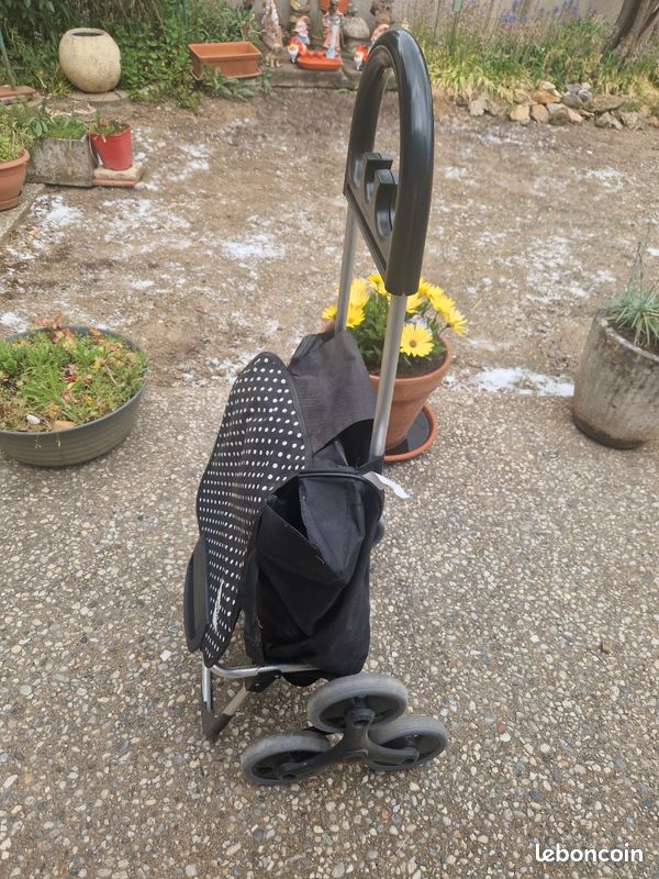 Caddie de course (image 2)