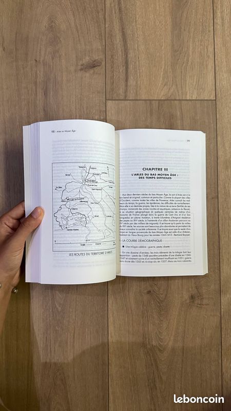 Livre Arles au Moyen Âge Louis Stouff (image 3)