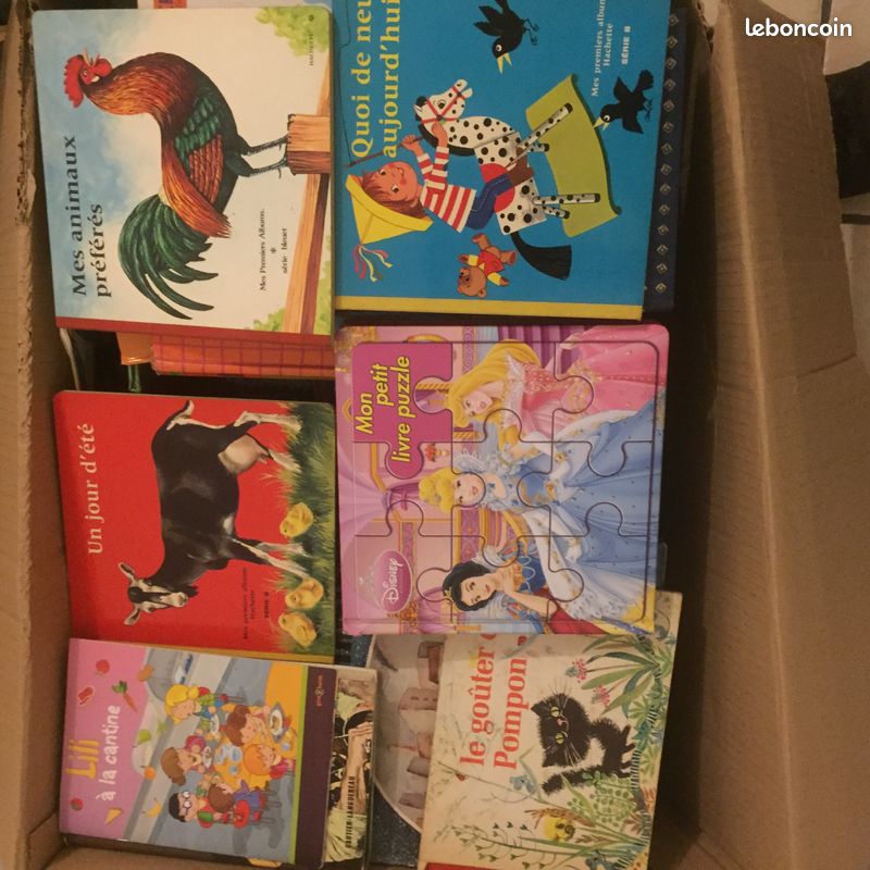 Grand lot livres pour tout petit ou enfant (lot 15) (image 2)