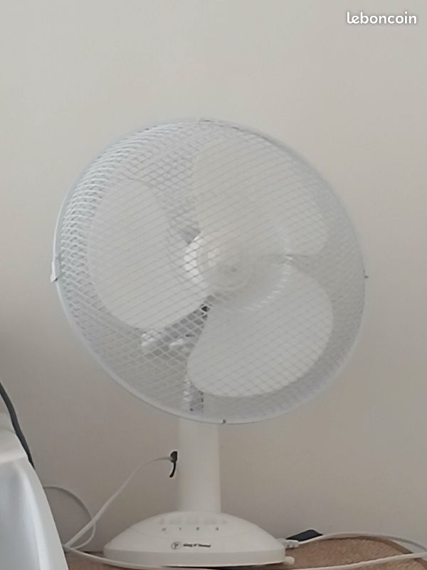 Ventilateur sur pied (image 1)