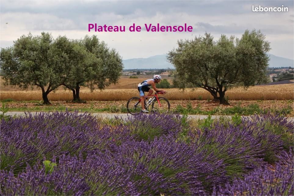 Beau T3 "Les Clés de Digne", jardin, centre ville (image 15)