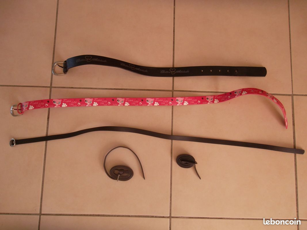 Lot ceintures fille (image 1)