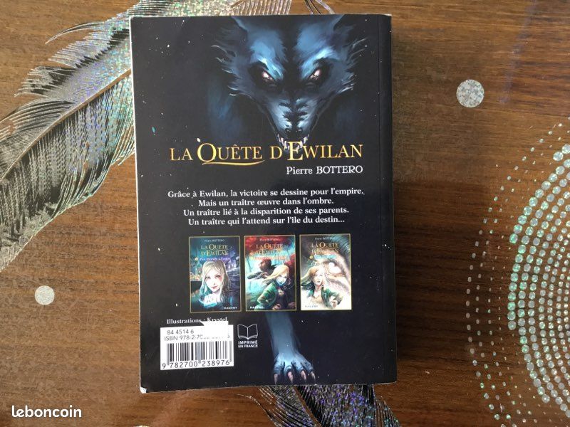 Livre : « La quête D’Ewilan » (image 3)