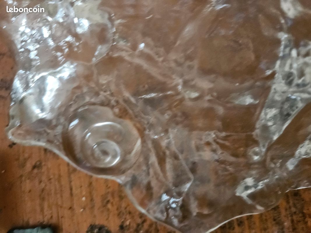 Coupe en verre jolanda coquillage (image 2)