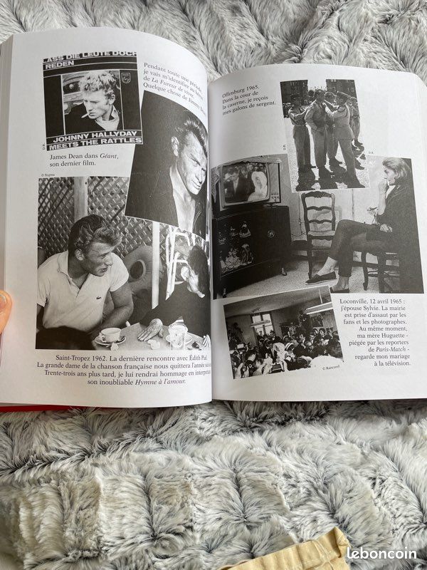 Johnny Hallyday destroy (image 3)