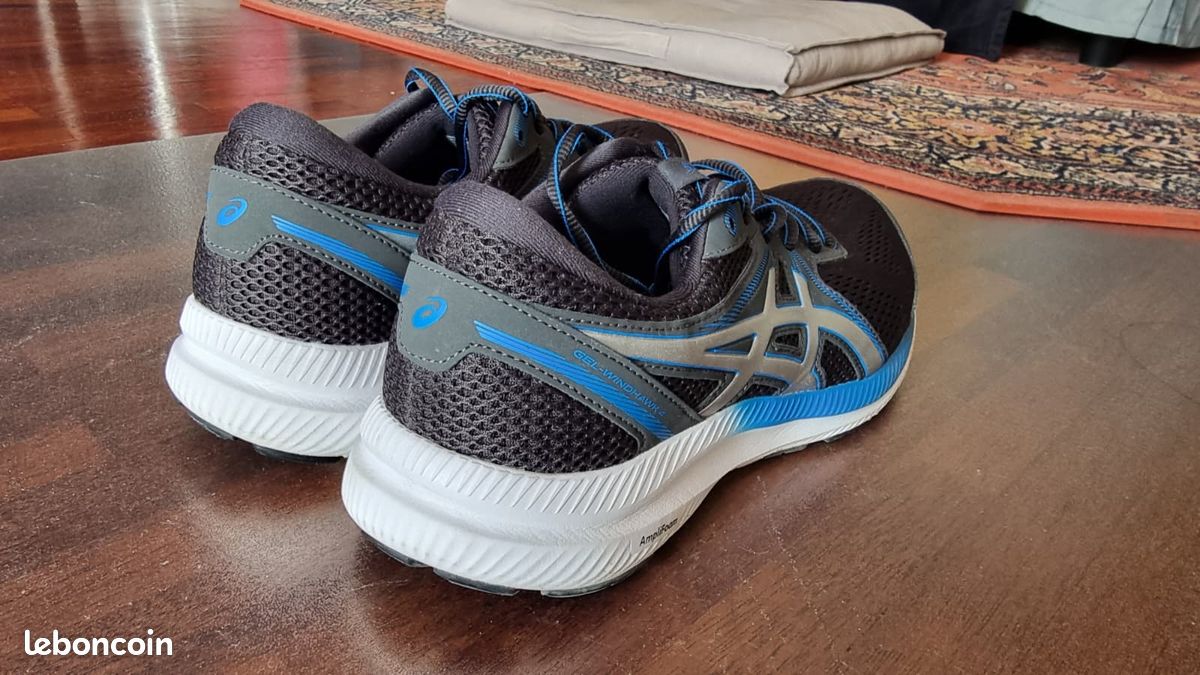 Asics Gel-Windhawk 4 (image 2)