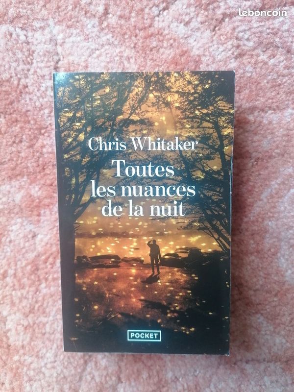 Toutes les nuances de la nuit, Chris Whitaker (image 1)