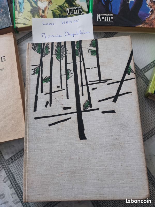 Lot de livres (11) enfants et adolescents (image 12)