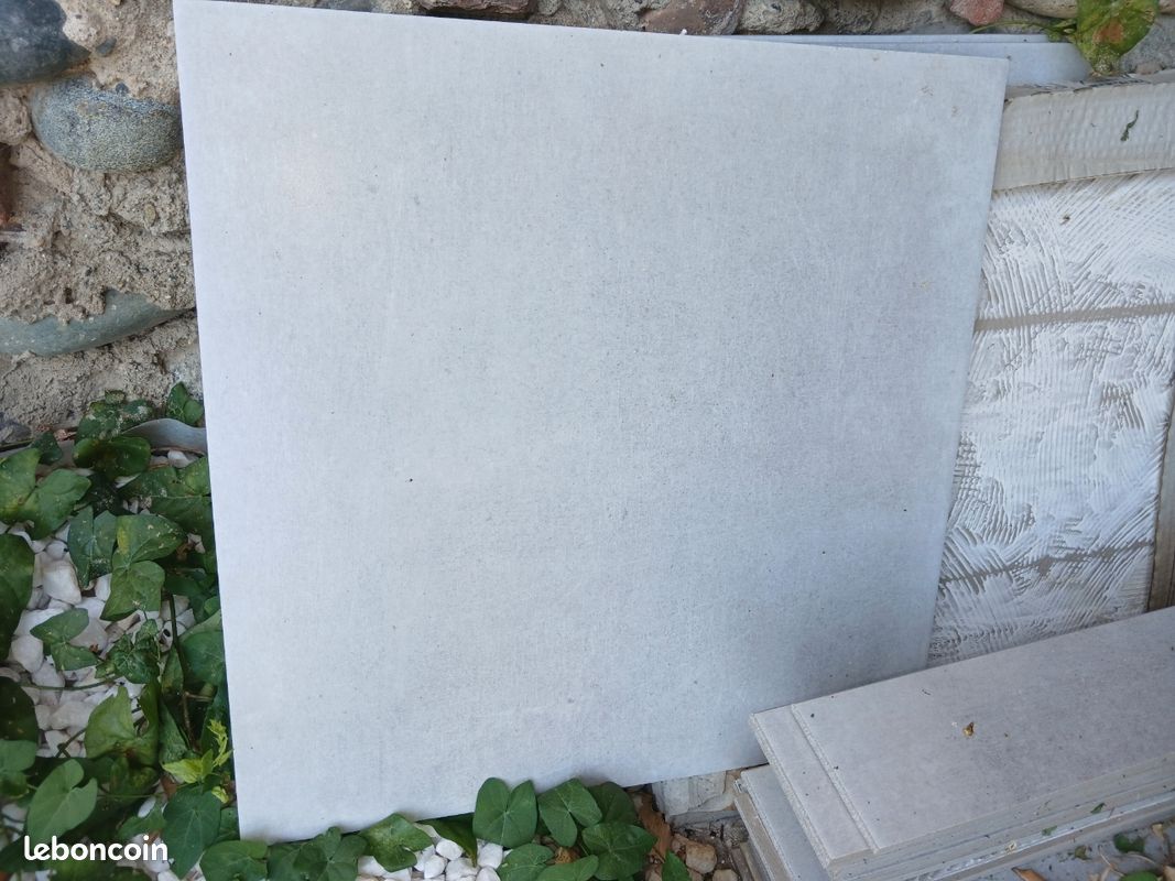 Pleinthes 45 cm (image 2)