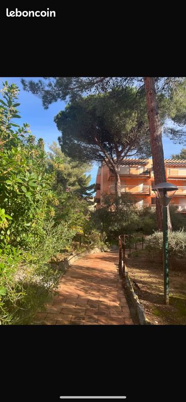Superbe Studio à 50 m de la plage de Bormes la Faviere (image 2)