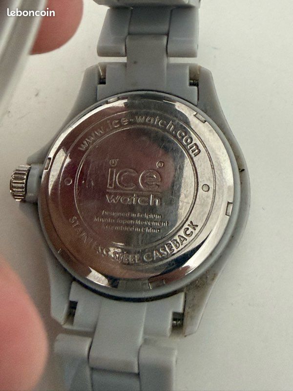 ICE watch (image 2)
