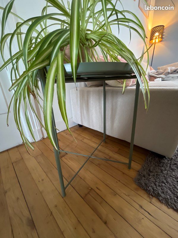 Table basse / guéridon (image 3)
