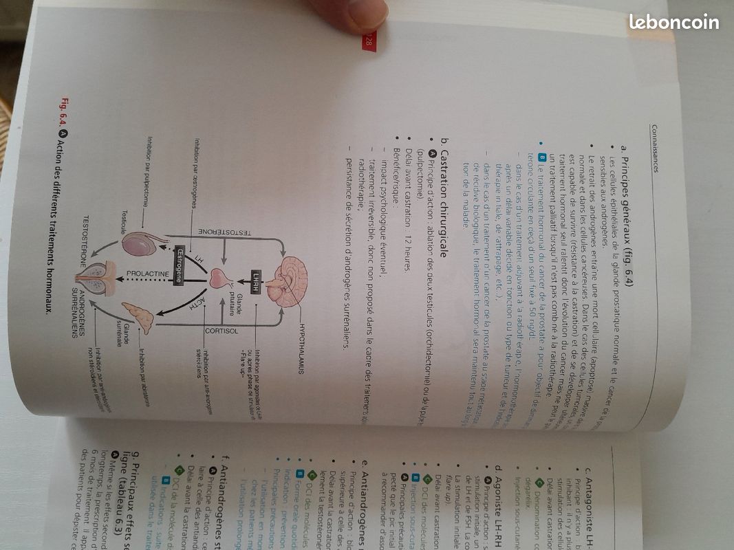 Reférentiel des collèges, Urologie (image 5)