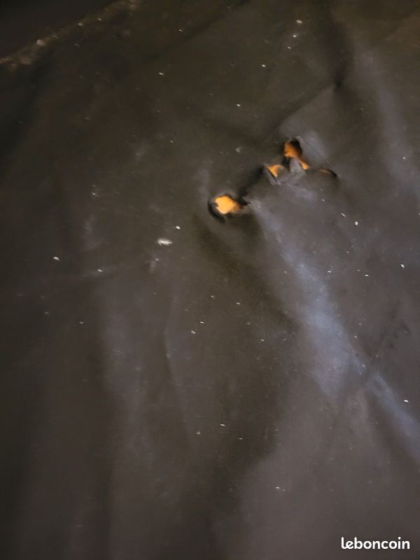 URGENT - vente matelas car déménagement (image 7)
