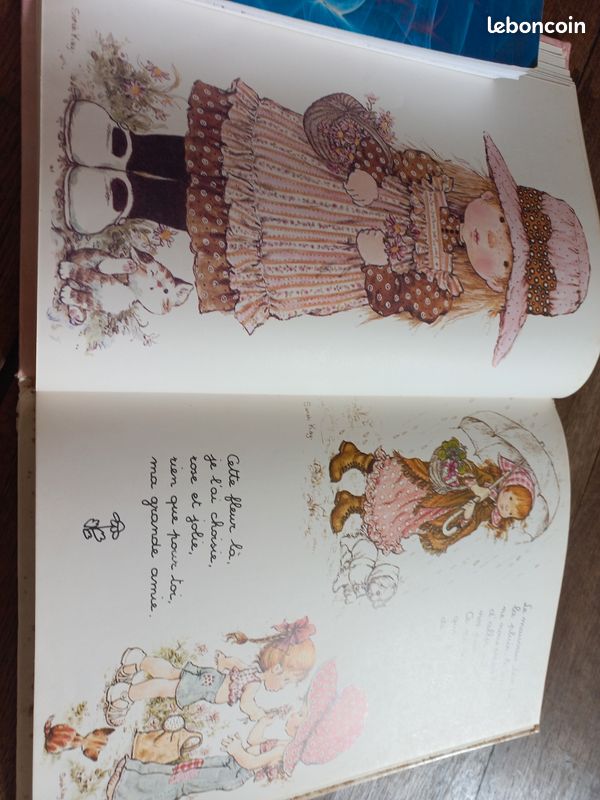 Livre Ouvre-moi ta porte Sara Kay (image 8)