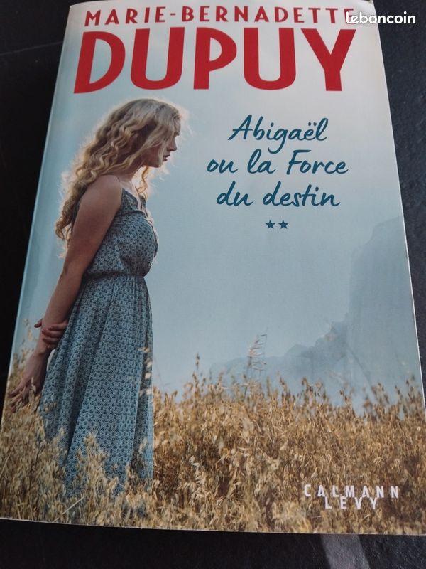 Abigael ou la force du destin Marie-Bernadette Dupuy (image 1)