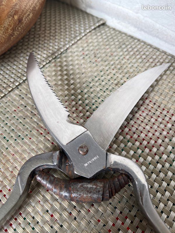 Cisaille à volaille avec manche en bois de coral : ciseaux de cuisine