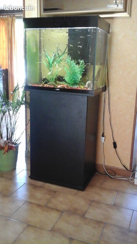 Aquarium (image 3)