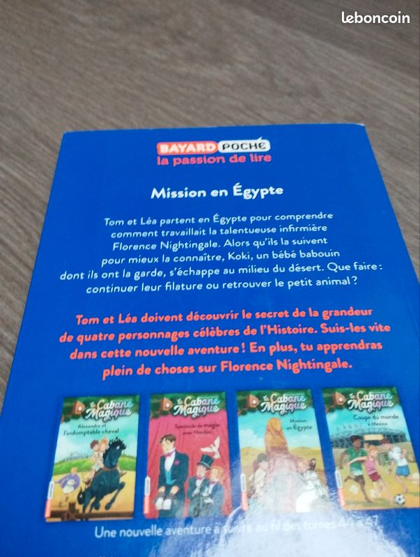 La cabane magique tome 46 (image 3)