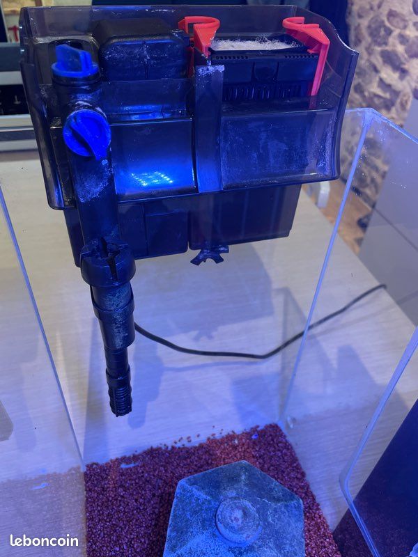 Aquarium (image 3)