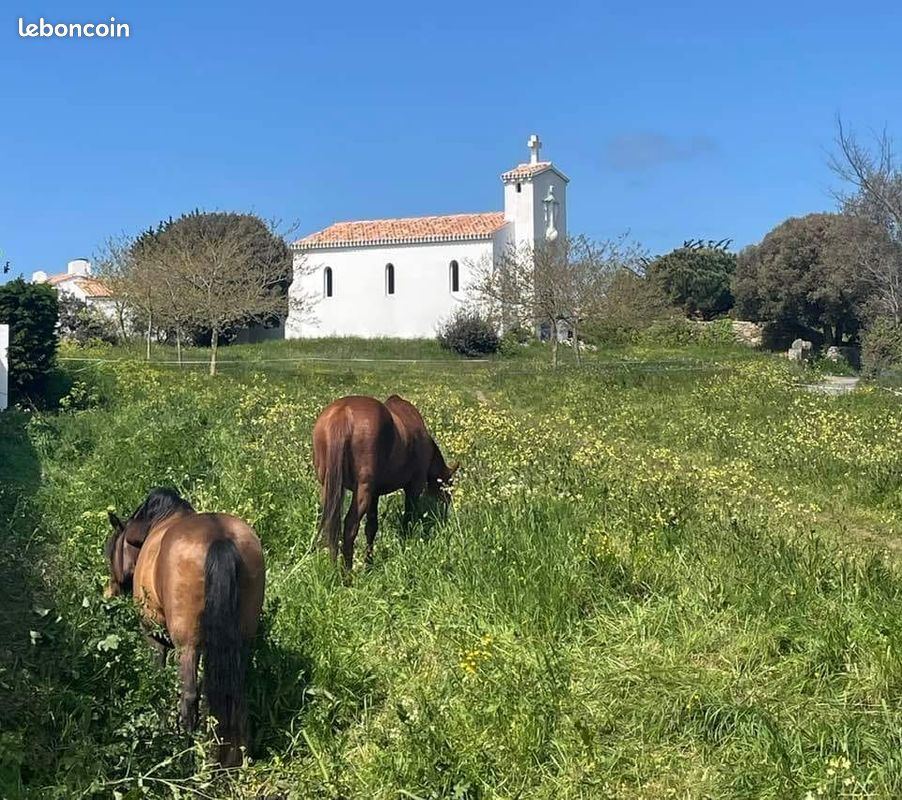 Location maison île D’yeu (image 3)