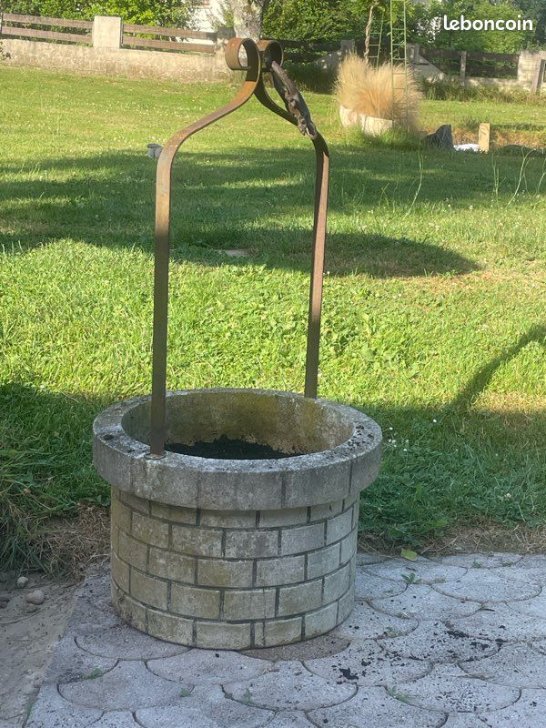 Puits plante (image 5)