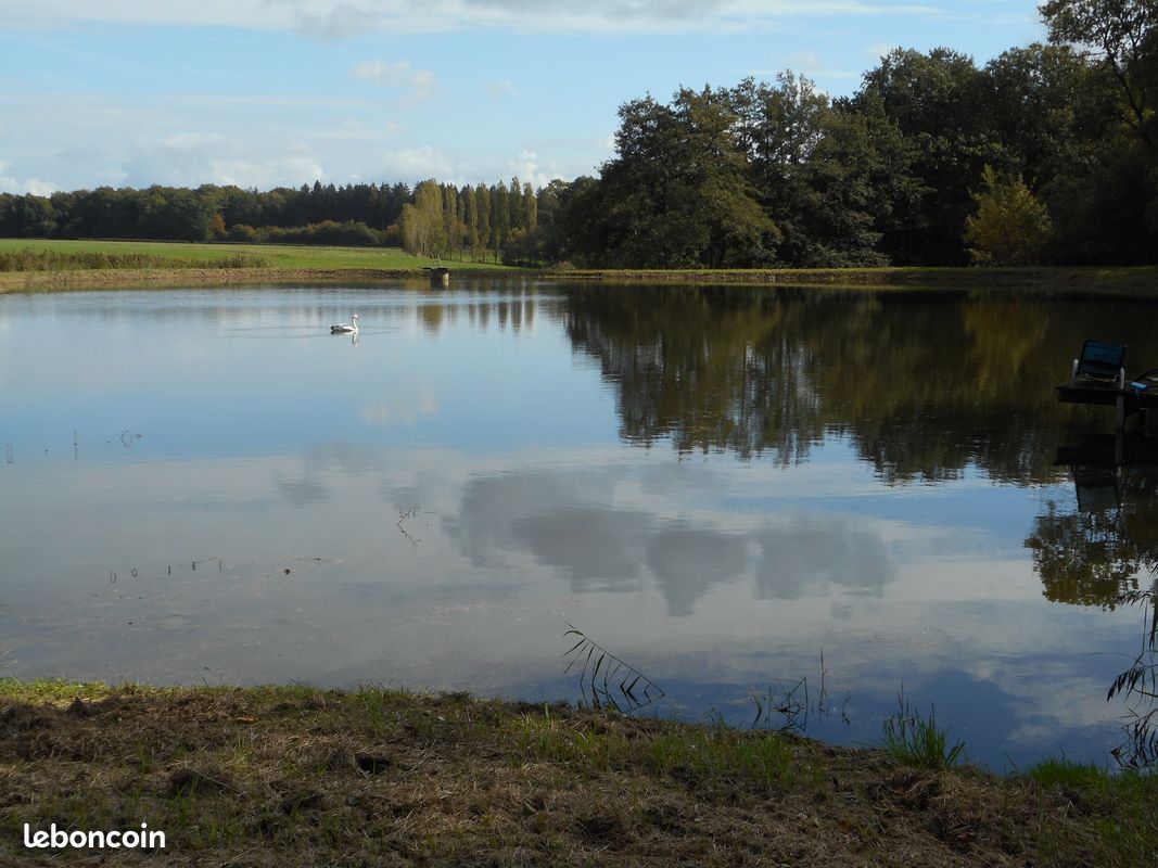 Etang très calme et petite foret sauvage · à Felon · 92 000 €