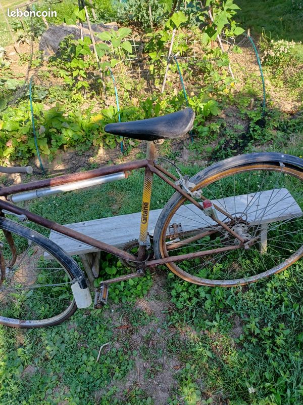 Velo gitane ancien (image 3)