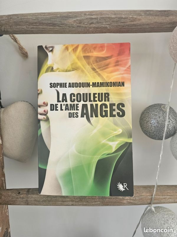 Roman la couleur de l'âme des anges (image 1)