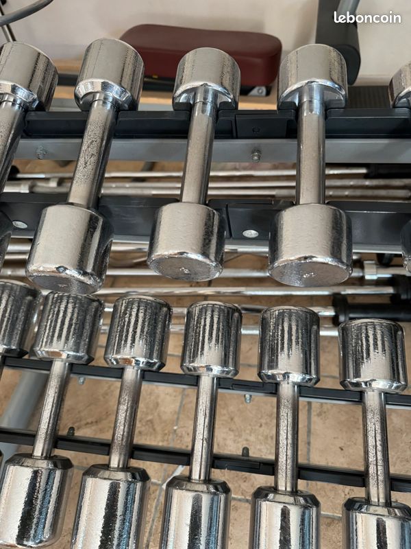 Chrome DUMBBELL RACK 10 PAIRES musculation Rack rangement d’haltères technogym (image 3)